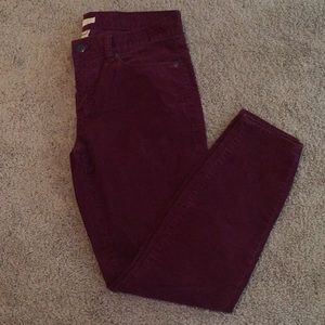 J. Crew maroon cords